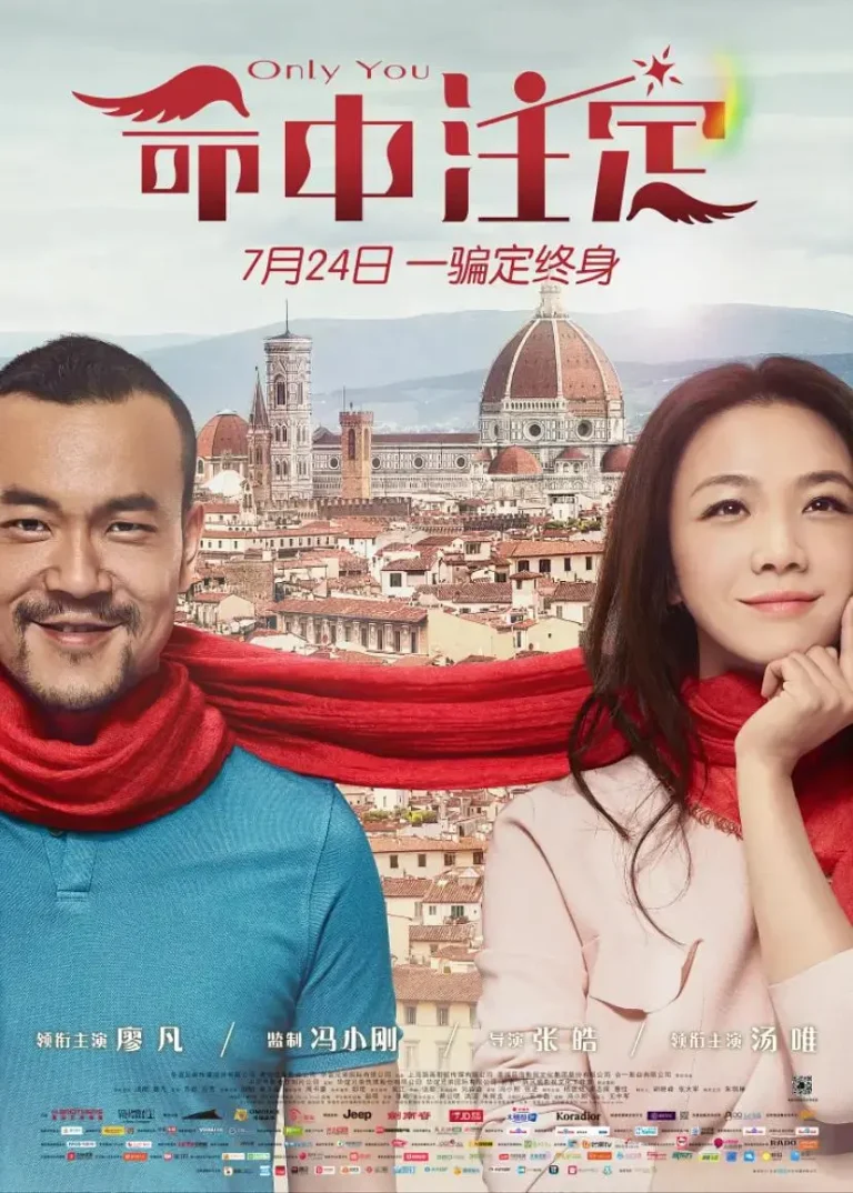 《命中注定》全集高清完整版在线观看与剧情解析