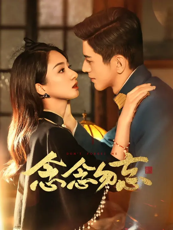 《念念勿忘》全集高清完整版在线观看与剧情解析