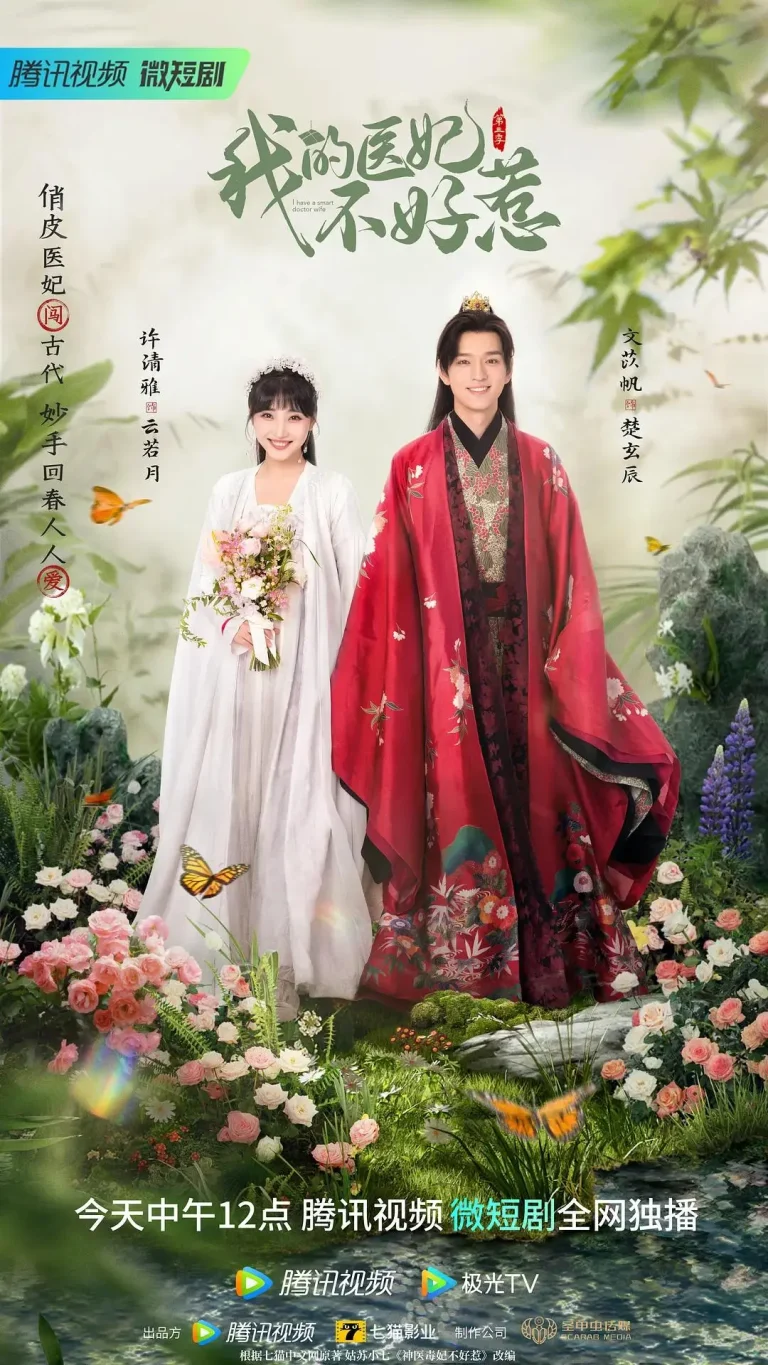《我的医妃不好惹3》全集高清完整版在线观看与剧情解析