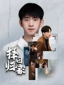 《择日归家》全集高清完整版在线观看与剧情解析