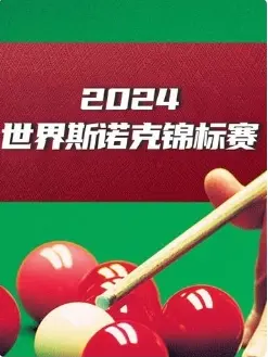《斯诺克国锦赛 韦克林4-5丁俊晖20241110》全集高清完整版在线观看与剧情解析
