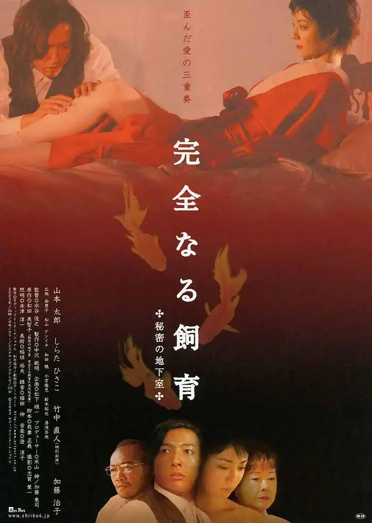 《禁室培欲4:秘密地下室》全集高清完整版在线观看与剧情解析