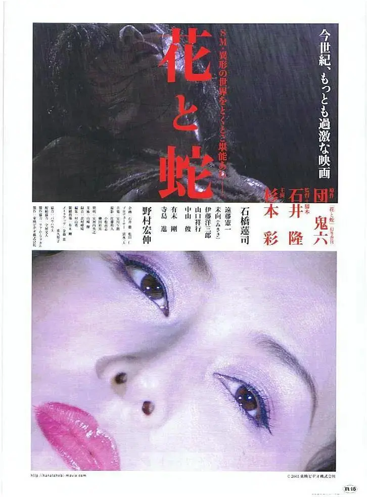 《花与蛇》全集高清完整版在线观看与剧情解析